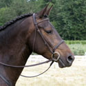 Praline, thumbnail